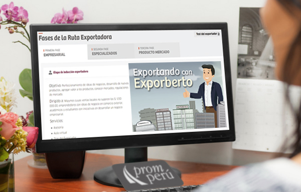 executive-analyzing-promperu-international-trade-educational-platform